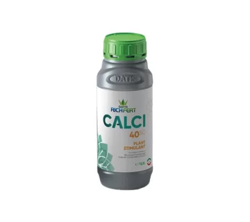 کلسی 40 ریچفرت داتیس