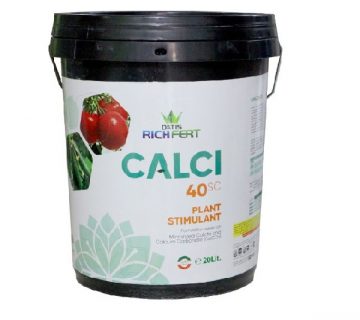 کلسی40 ریچفرت داتیس